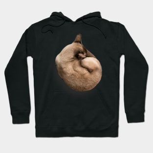 Sleeping cat Hoodie